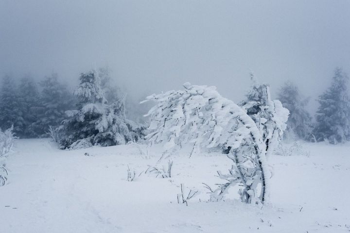 В Татарстане вновь объявлено штормовое предупреждение из-за снегопада