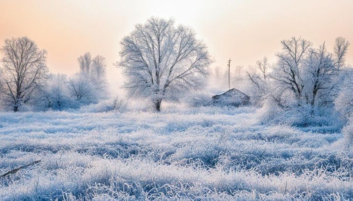 Синоптики предупредили о морозе и сильном ветре в Татарстане