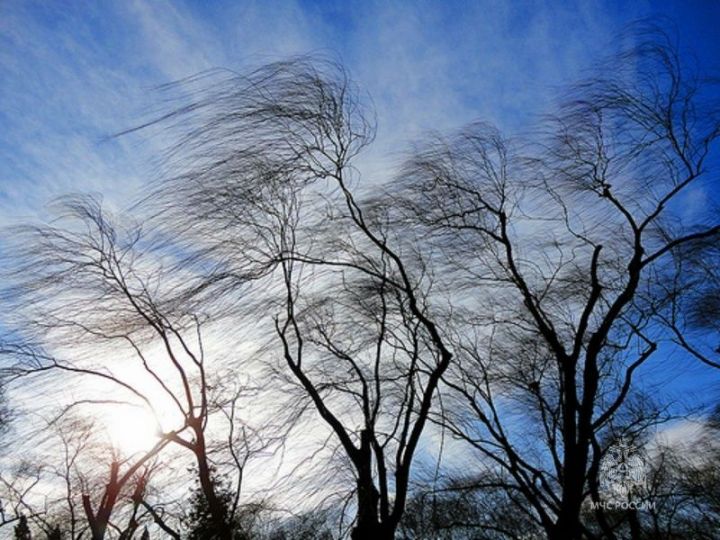 Синоптики предупредили о сильном ветре в Татарстане