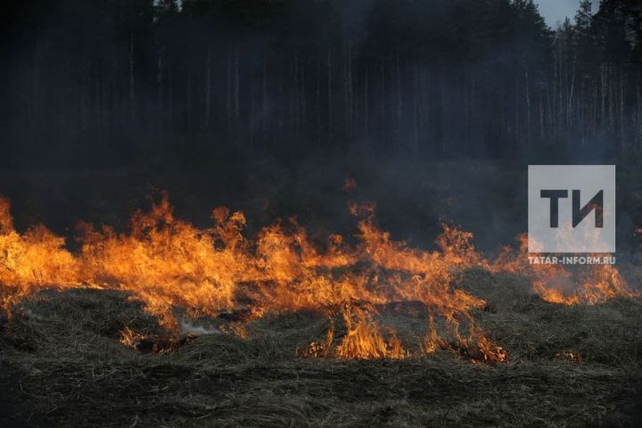 В МЧС напомнили, что из-за высокой пожароопасности в РТ продлен противопожарный режим