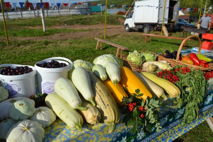 10 самых важных дел в саду в мае