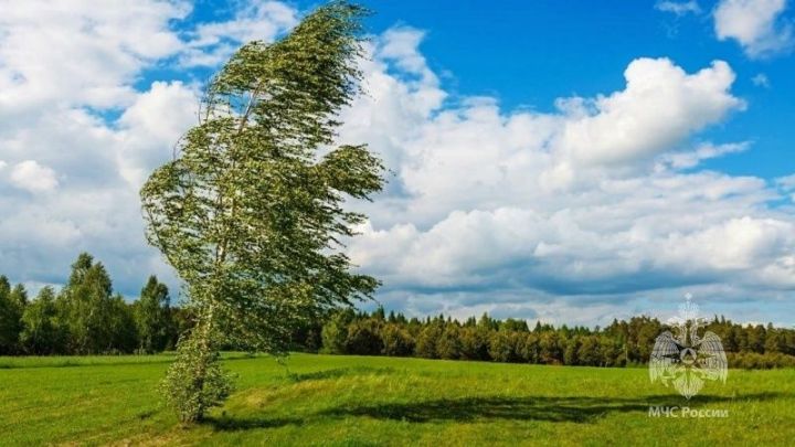 В Татарстане ожидается сильный порывистый ветер