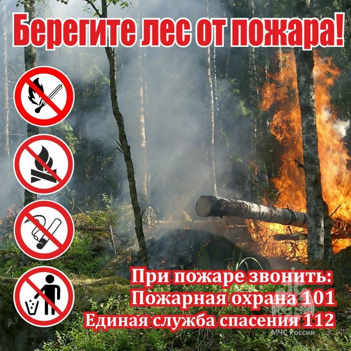 В Татарстане до 5 июня продлено действие штормового предупреждения о высокой пожароопасности лесов