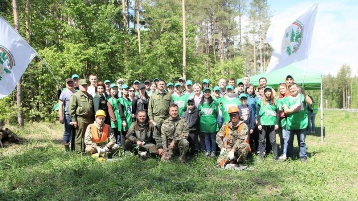 В Министерстве лесного хозяйства РТ подвели итоги акции «Чистые леса Татарстана»