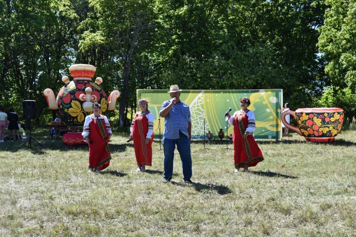 Травяной чай, ароматный мед, песни о селе: фестиваль русского самовара прошел в Шеланге