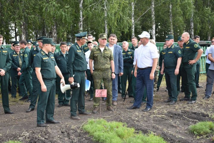 В Кайбицком лесничесте состоялся зональный семинар-совещание по вопросам защиты лесов от непарного шелкопряда