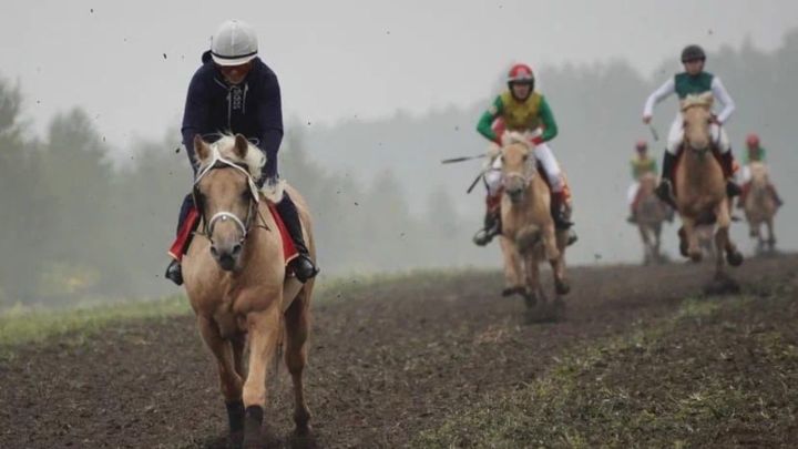 В Татарстане пройдет конно-спортивный праздник День коня