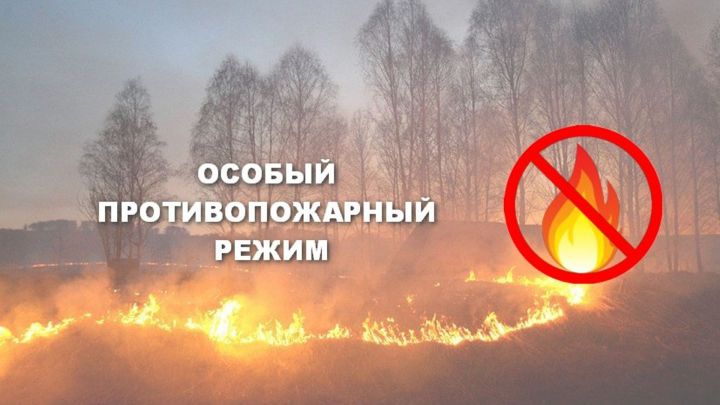 В Верхнеуслонском районе будет установлен особый противопожарный режим