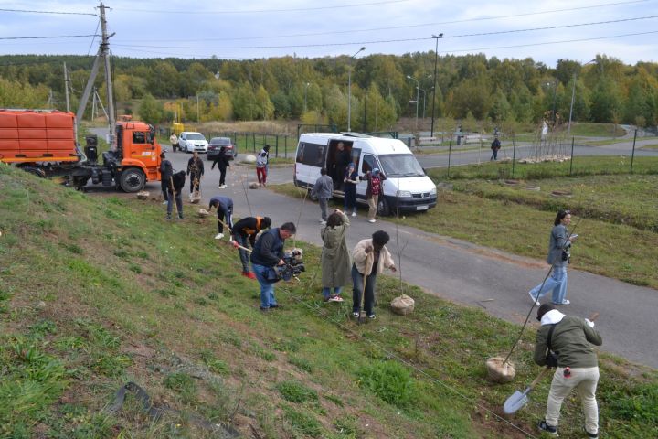 В Татарстане проходит Всероссийская акция «Сохраним лес»