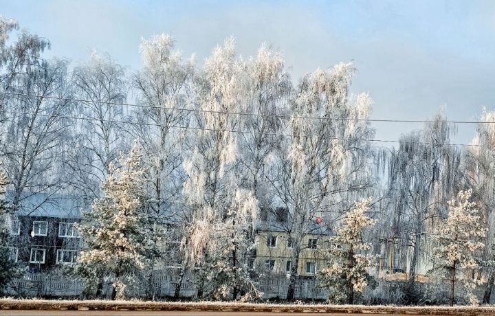 Народные приметы на 1 декабря: день Платона и Романа Зимоуказателей