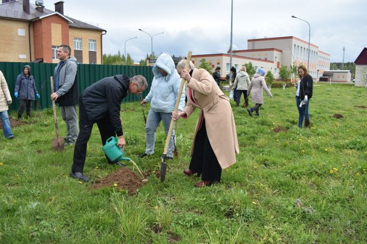 В Верхнем Услоне по национальному проекту заложили яблоневый сад