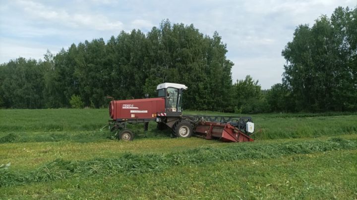 В Верхнеуслонском районе приступили к заготовке кормов для зимовки скота