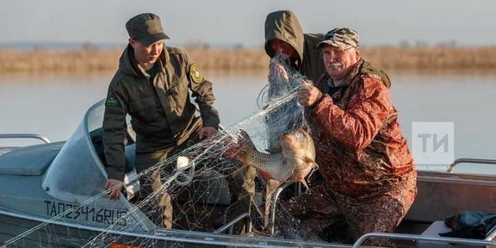 В Татарстане рыболовные сети браконьеров отправят в зону СВО