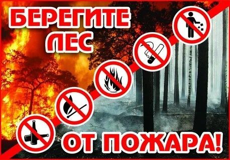 В Верхнеуслонской МЧС призвали беречь леса от пожаров