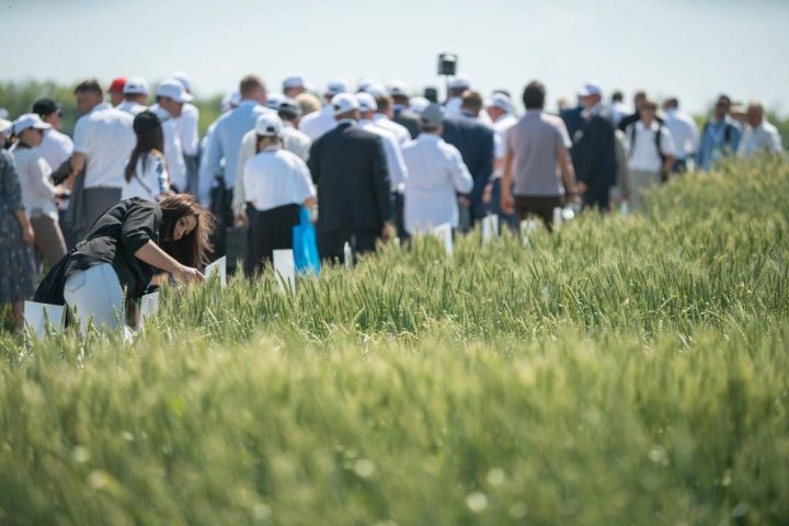 Компании Беларуси, Турции, Китая, Ирана приедут на выставку «Агроволга» в Казань