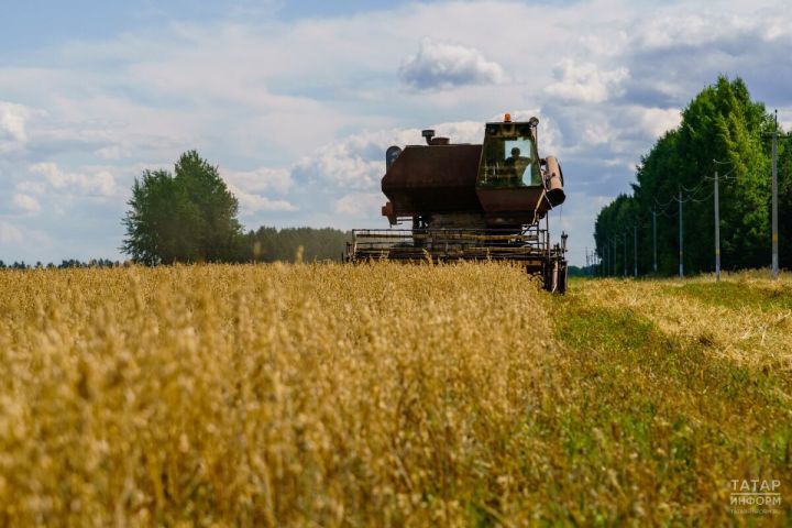 Народные приметы на 18 августа: что нельзя делать в этот день