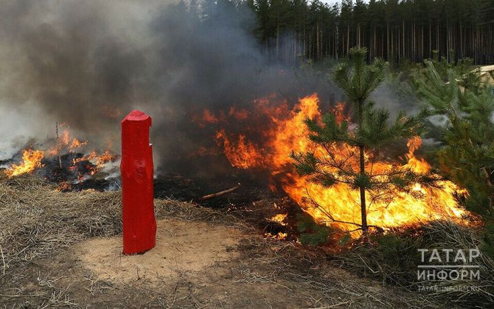 В Татарстане продлили предупреждение из-за высокого риска пожаров в лесах