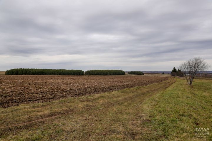 Татарстан вошел в пятерку регионов по количеству вовлеченных земель для туризма