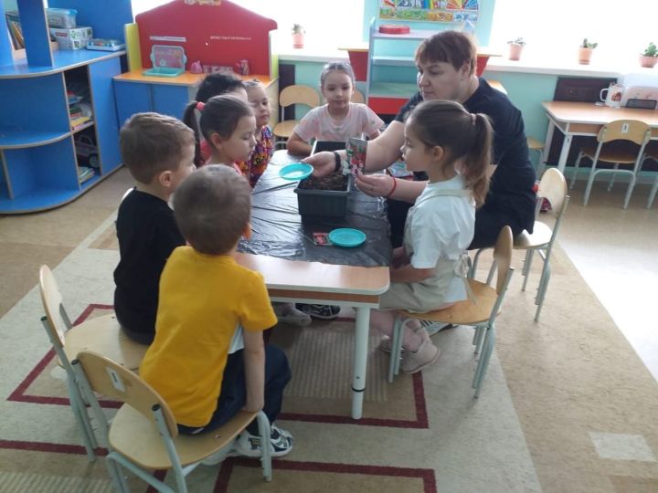 «Каенкай» балалар бакчасы чәчәк үсентеләре әзерлиләр