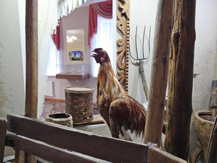 13 апреля: приметы, праздники, события