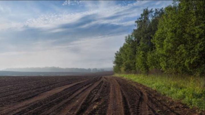 Народные приметы на 21 апреля 2025 года: что нельзя делать в этот день