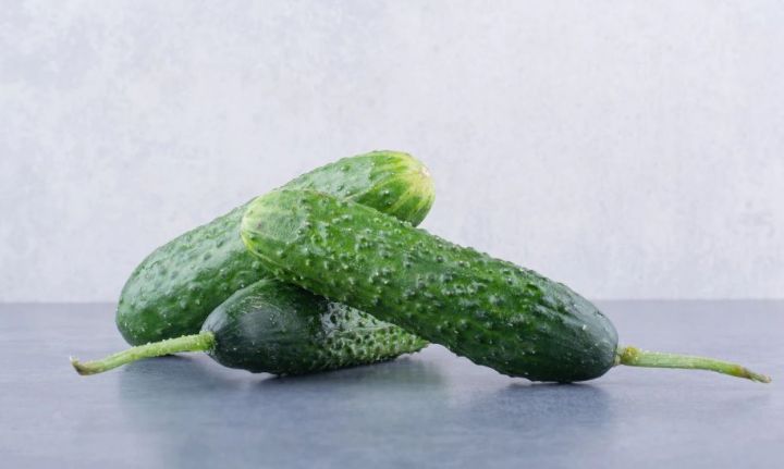 Благоприятные дни для посадки огурцов в мае 2025 года по лунному календарю