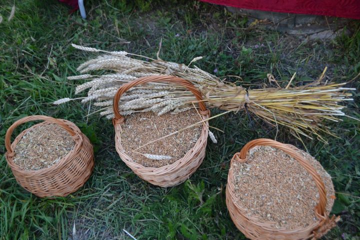 11 июня: приметы, праздники, события