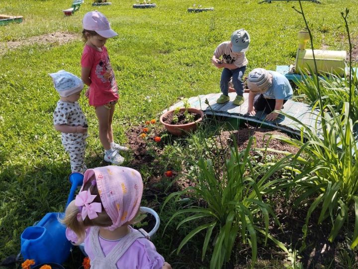 «Каенкай» балалар бакчасында бөҗәкләр дөньясын өйрәнделәр
