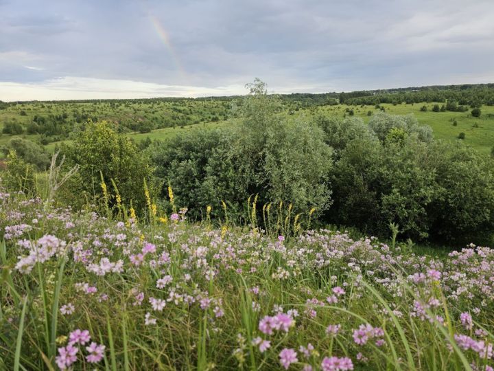 28 июля 2025 года: народные традиции, праздники и приметы