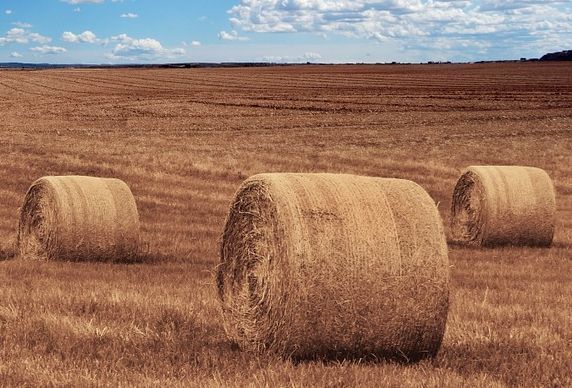 12 августа: приметы, праздники, события