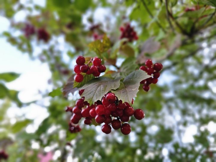 5 августа: приметы, праздники, события
