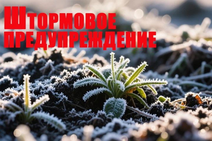 Штормовое предупреждение из-за заморозков объявили в Татарстане
