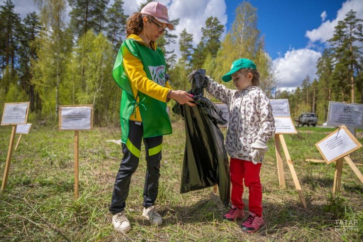 Акция «Чистые леса Татарстана» стартует 20 апреля 2026 года
