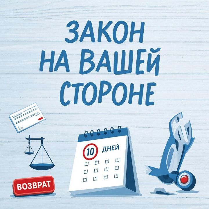 Бракованный триммер: как вернуть деньги за 10 дней - инструкция от эксперта