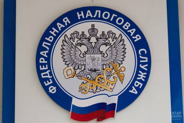 Налоговики Татарстана советуют проверить данные об имуществе онлайн