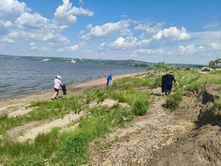 Сотрудники Бурнашевского поселения очистили берег Свияги в рамках акции