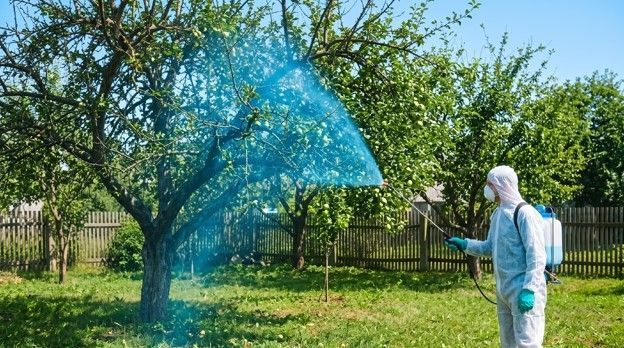 Эксперты рассказали о пользе и рисках медного купороса для сада