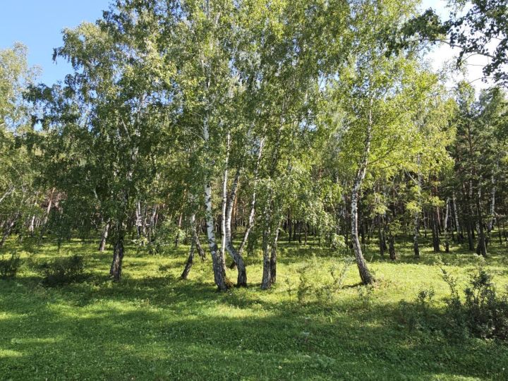 Пятница порадует жарой до +30 и ясным небом
